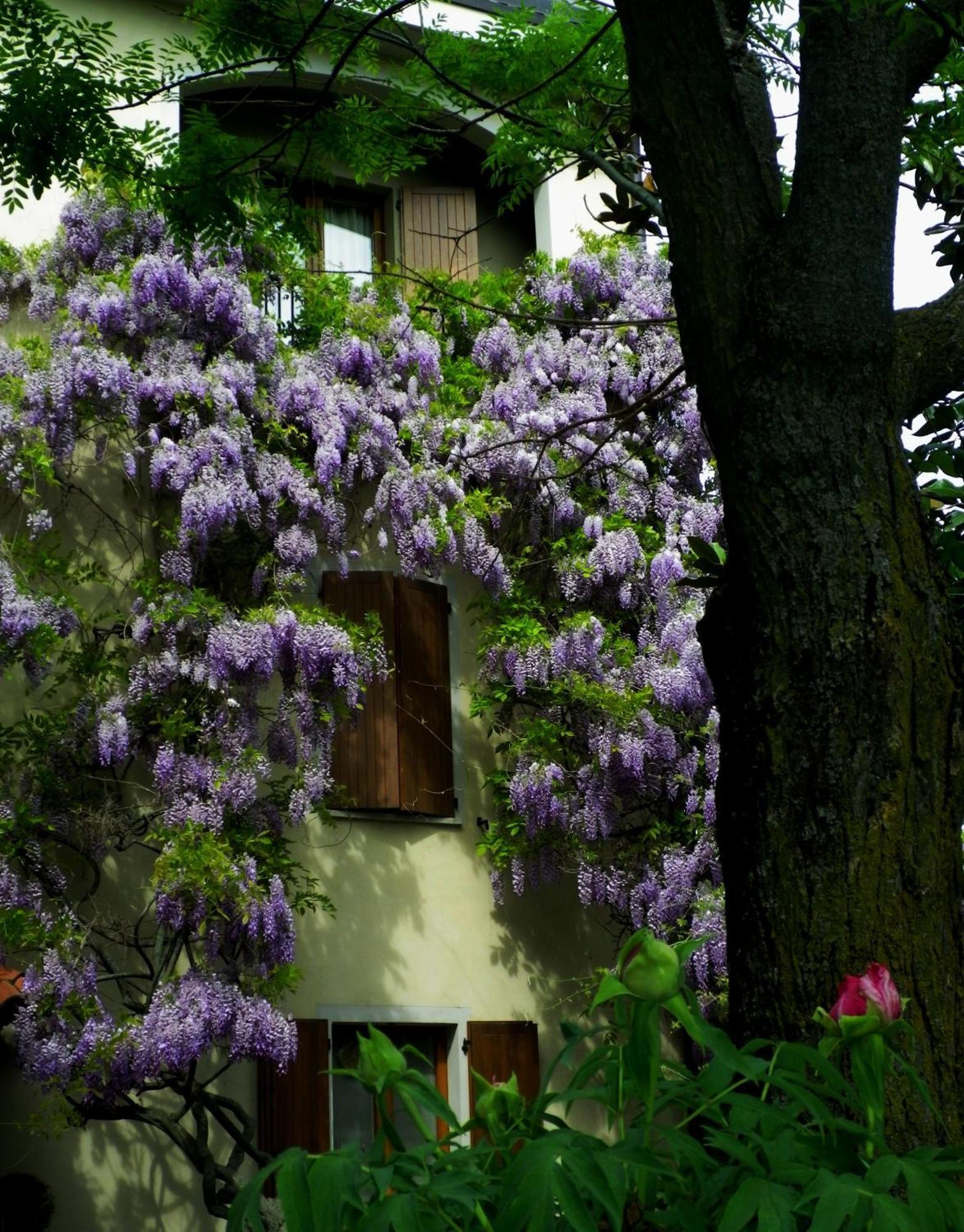 Le Querce Hotel Salsomaggiore Terme Exteriér fotografie